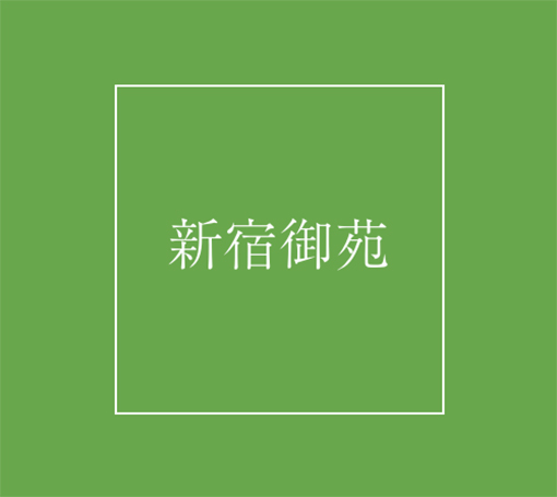 煎茶/抹茶/和紅茶